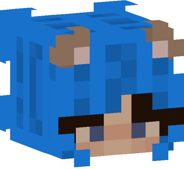 minecraft head